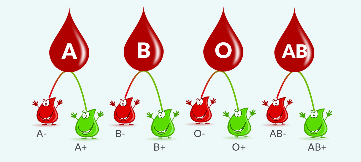 Группа крови. Gruppa krova. Группы крови рисунок. Группа крови иллюстрация.